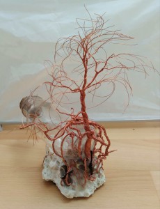 received_958994121308558_compress21